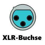 XLR Buchse