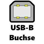 USB Typ B Buchse