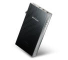 Astell & Kern SE300 (Silber)