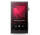 Astell & Kern SE300 (Silber)