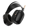 Shanling HW600 (Schwarz)