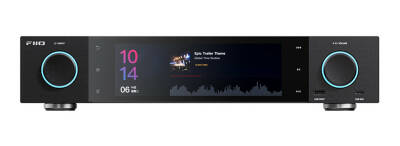 FiiO S15 (Schwarz)